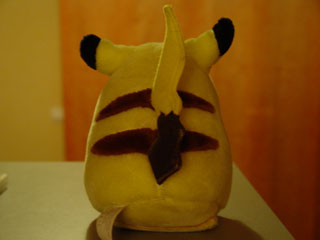 Appercu de mon Pikachu